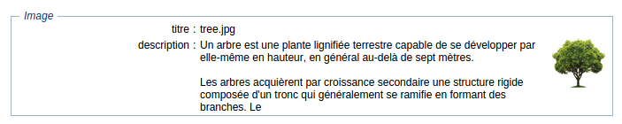image - consultation html