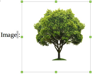 image - consultation odt