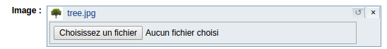 image - Modification html