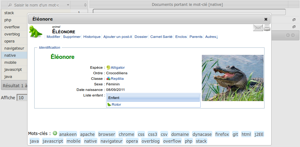 Exemple de recherche de tags
