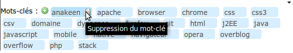 Exemple de la zone de gestion de mot-clé