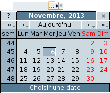 Zone de type date
